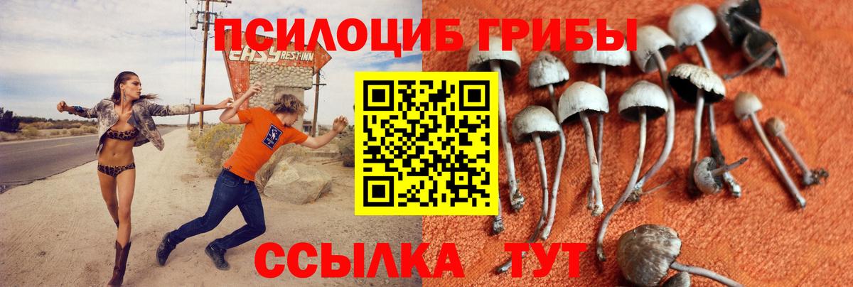 Галлюциногенные грибы Magic Shrooms Луга